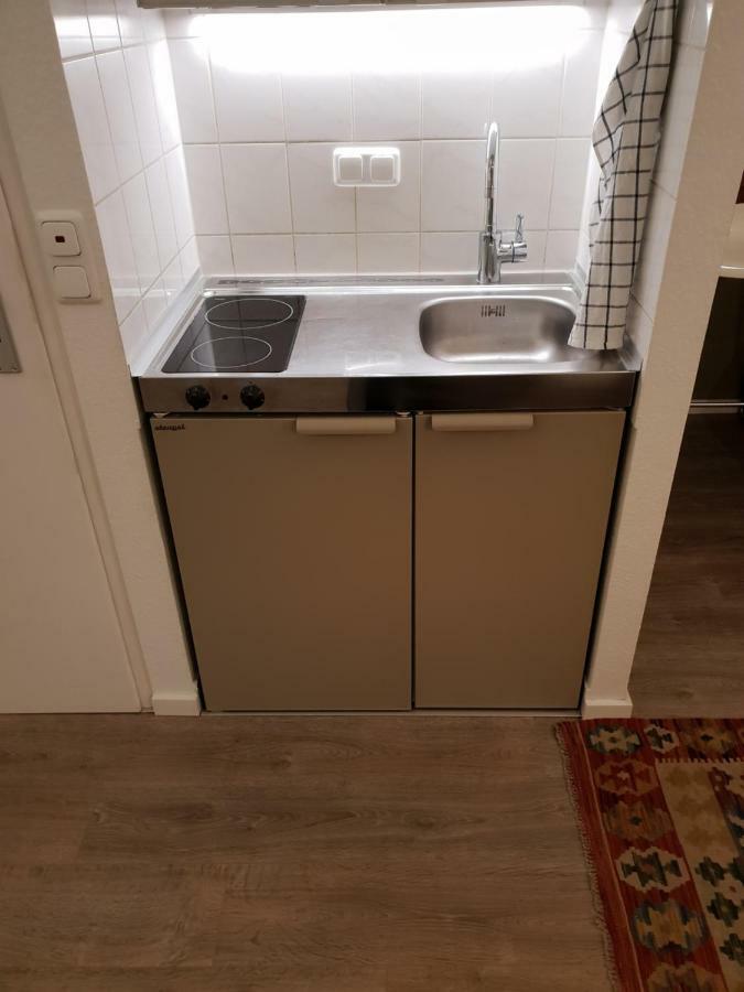 Studio Apartment In Zentraler Lage Mainz Dış mekan fotoğraf